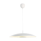 Moderna lampada a sospensione LED in ferro e nichel – Decorativa & Luce Calda | Ideale per la casa