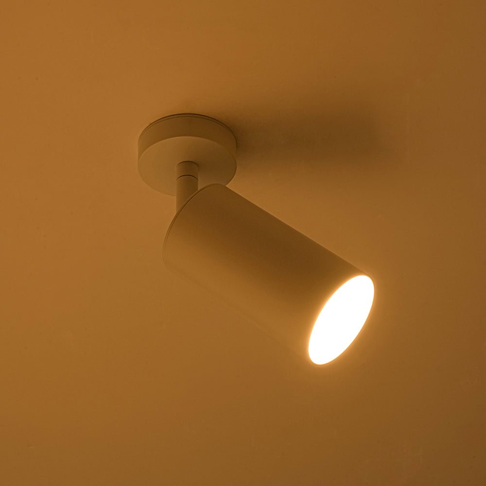Faretto Regolabile su Binario a 1 Luce con Rotazione di 350 Gradi