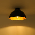 Industrial Chic 1-Light Metal Black Dome Semi Flush Mount