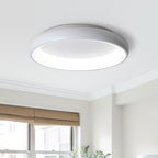 Minimalista Semplice Lampada da Soffitto Led Rotonda
