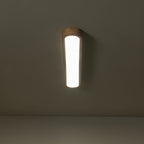 Lampada da soffitto ovale in legno LED dimmerabile nordica