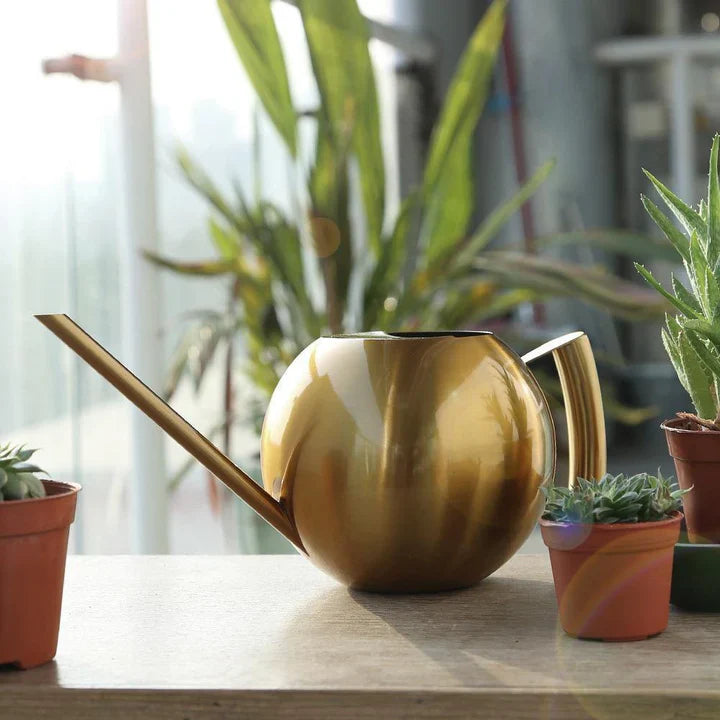 PlantFlow – Elegante annaffiatoio sferico snodato perfetto per piante delicate