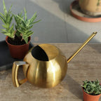 PlantFlow – Elegante annaffiatoio sferico snodato perfetto per piante delicate