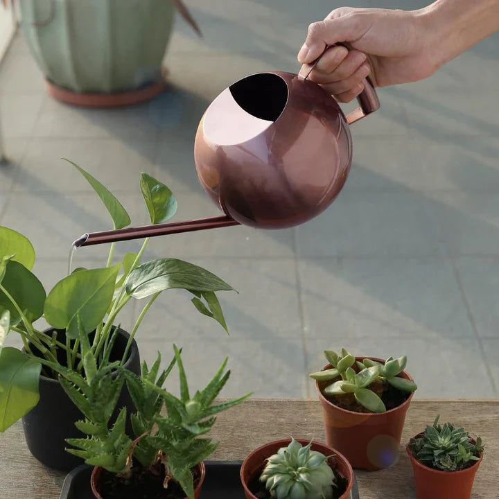 PlantFlow – Elegante annaffiatoio sferico snodato perfetto per piante delicate