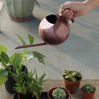 PlantFlow – Elegante annaffiatoio sferico snodato perfetto per piante delicate