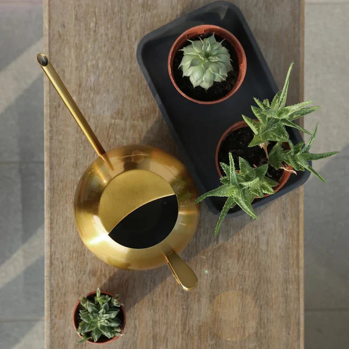 PlantFlow – Elegante annaffiatoio sferico snodato perfetto per piante delicate