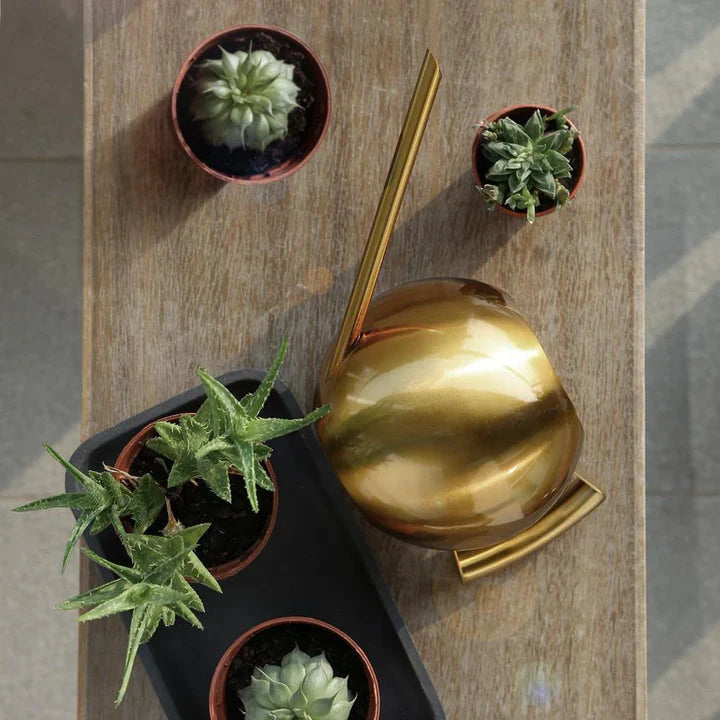 PlantFlow – Elegante annaffiatoio sferico snodato perfetto per piante delicate