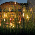 SOLAREED LIGHTS – Luci da Giardino Solari a Canne per Illuminazione Atmosferica Esterni