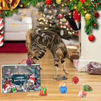Pawfect | 2025 Calendario dell'Avvento per Gatti e Cani