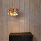 Stuart Lamble Allium Pendant Shade