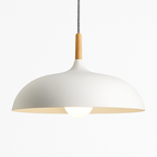 Sospensione in alluminio colorato e stelo in legno