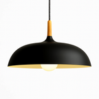 Sospensione in alluminio colorato e stelo in legno