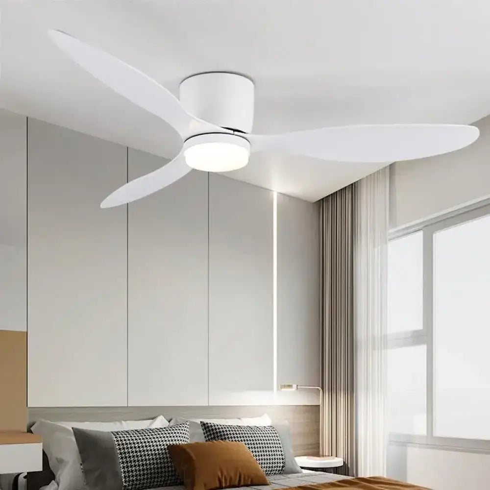 Ventilatore da camera con illuminazione