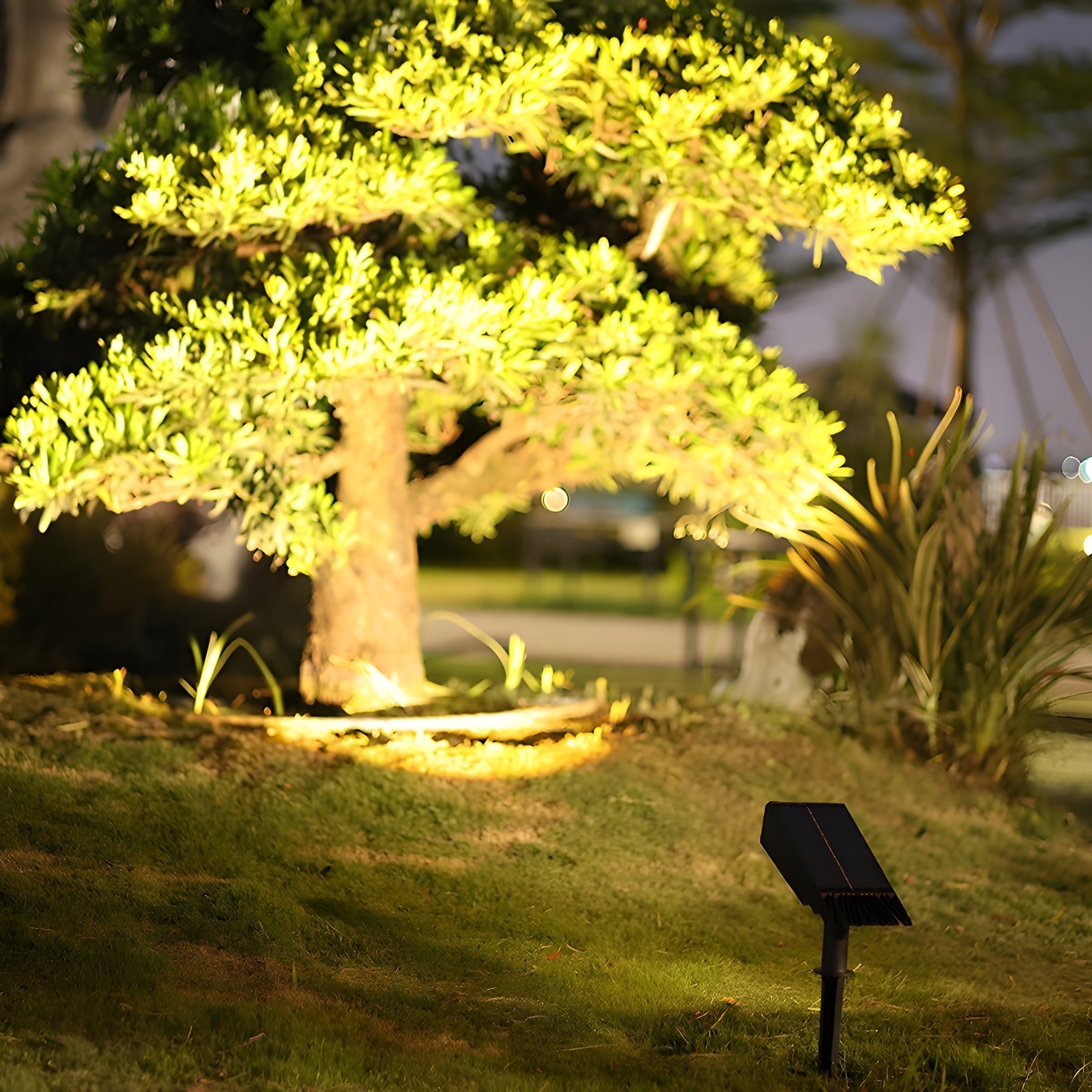 Faro Solare Esterno con Testa Regolabile per Giardino
